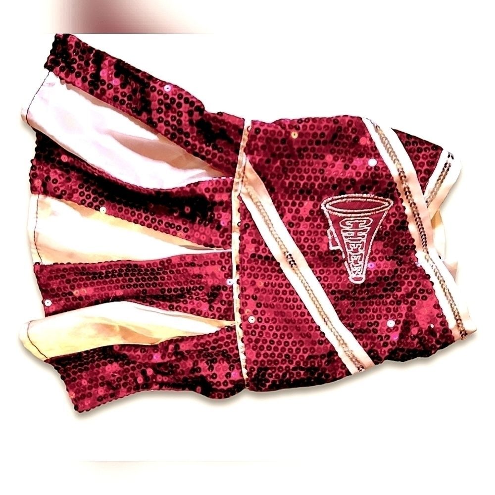 Small Dog Harness and Cheer Costume